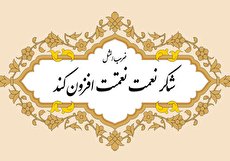 معنی ضرب المثل شکر نعمت نعمتت افزون کند و شعر و داستان آن