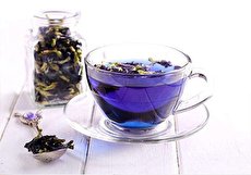طبع گل گاوزبان چیست و مصلحات آن کدامند؟