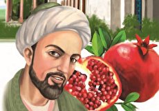 معنی شعر بامدادی که تفاوت نکند لیل و نهار