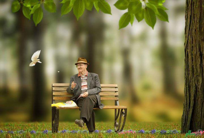 متن زیبا در مورد سالمندان - متن ادبی در مورد سالمند