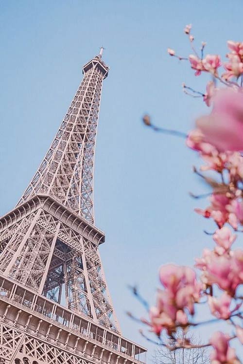 عکس برج ایفل در بهار