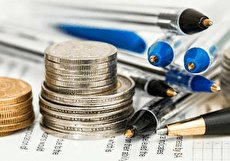 داستان ضرب المثل هیچ ارزانی بی علت نیست و هیچ گرانی بی حکمت