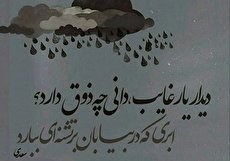 معنی دیدار یار غایب دانی چه ذوق دارد به زبان ساده