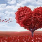 ضرب المثل از محبت خارها گل می شود