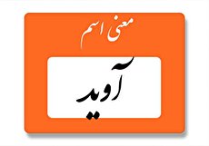 معنی اسم آوید چیست؟ (ریشه، فراوانی و نام های مشابه)