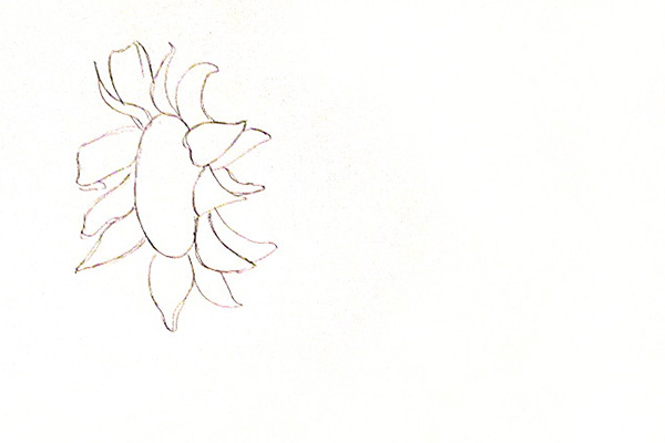 آموزش گام به گام نقاشی گل آفتابگردان با مداد رنگی