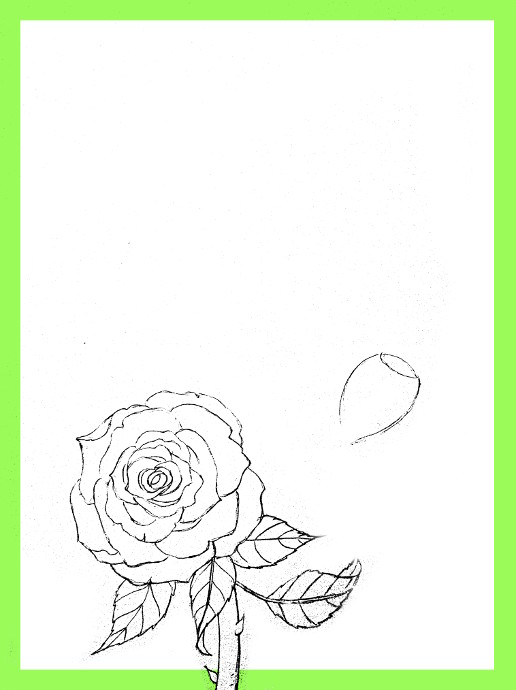 آموزش کشیدن نقاشی گل رز