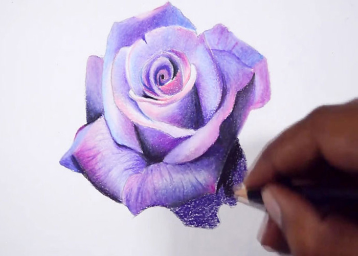 آموزش کشیدن نقاشی گل 