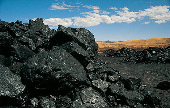 انواع سنگ های رسوبی - زغال سنگ