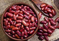 طبع لوبیا چیست و مصلحات آن کدام است؟