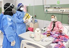 ۴ داروی گیاهی مؤثر در بهبود کرونا