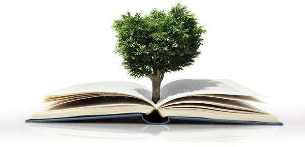 انشا درباره مقایسه کتاب با انسان، با برگ درختان و با آسمان | سنجش و مقایسه