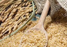 معجزه سبوس برنج برای لاغری و کاهش سایز شکم و پهلو