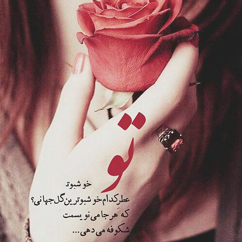 شعر عاشقانه گل رز - شعر عاشقانه گل سرخ