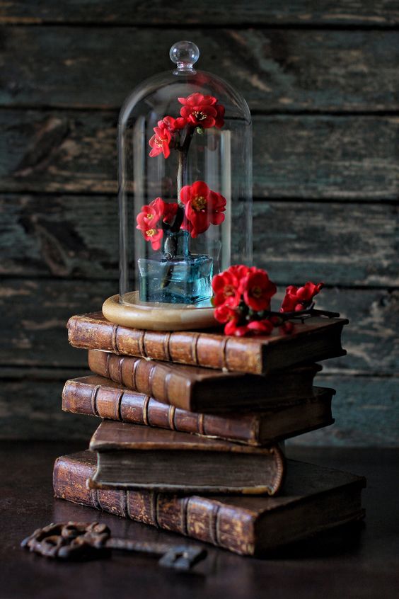 عکس حباب گل و کتاب برای پروفایل عاشقانه