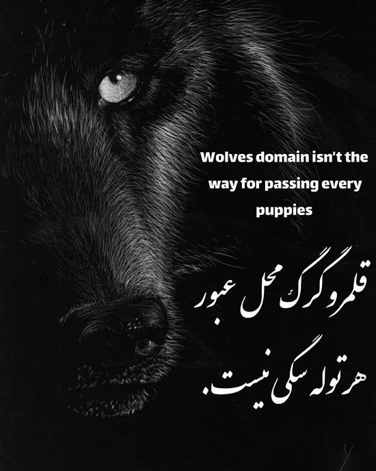 پروفایل انگیزشی انگلیسی دخترانه