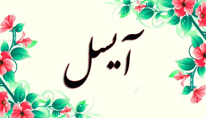 معنی اسم آیسل