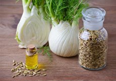 رازیانه برای نوزاد دچار کولیک، نفخ و یبوست چه فواید و عوارضی دارد؟