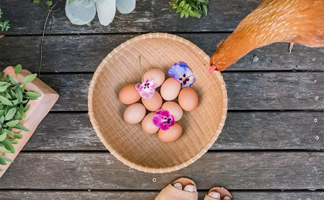 شستن تخم مرغ با آب و مواد شوینده؛ آری یا خیر؟