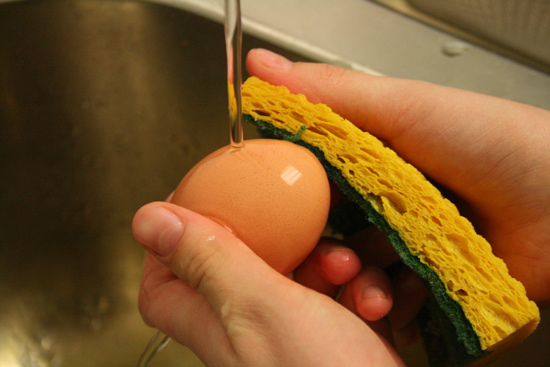 روش شستن تخم مرغ با آب