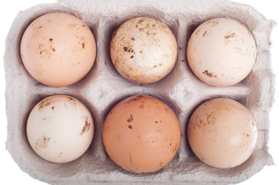 تخم مرغ شسته نشده با کوتیکول سالم تر است