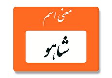 معنی اسم شاهو چیست؟ (ریشه، فراوانی و اسم های مشابه شاهو)
