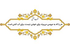ضرب المثل خر را که به عروسی میبرند برای خوشی نیست، برای آبکشی است