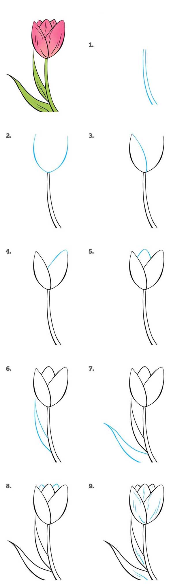 آموزش گام به گام کشیدن نقاشی گل لاله