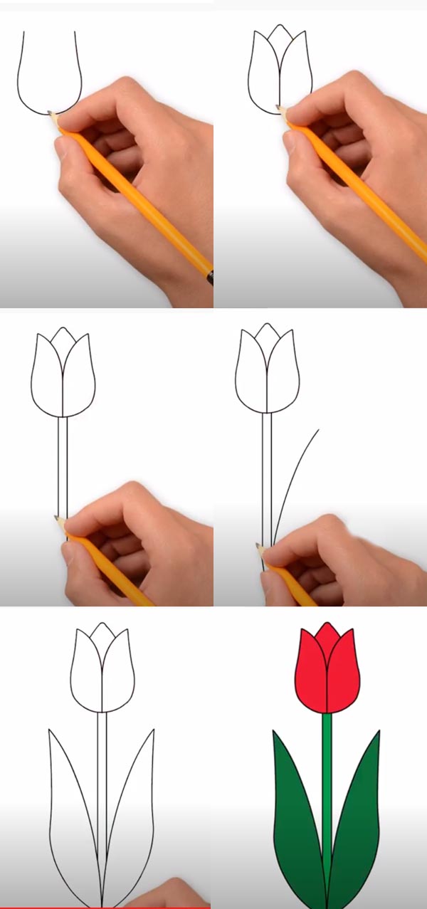 آموزش گام به گام کشیدن نقاشی گل لاله شهیدان