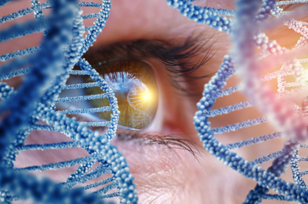 اطلاعاتی درباره موفقیت پژوهشگران در ژن درمانی