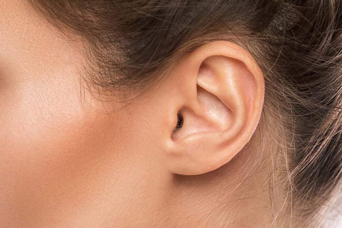 عامل پیوسته یا آزاد بودن نرمه گوش چیست و در چه بخشی از یاخته قرار دارد؟