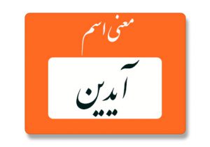 معنی اسم آیدین