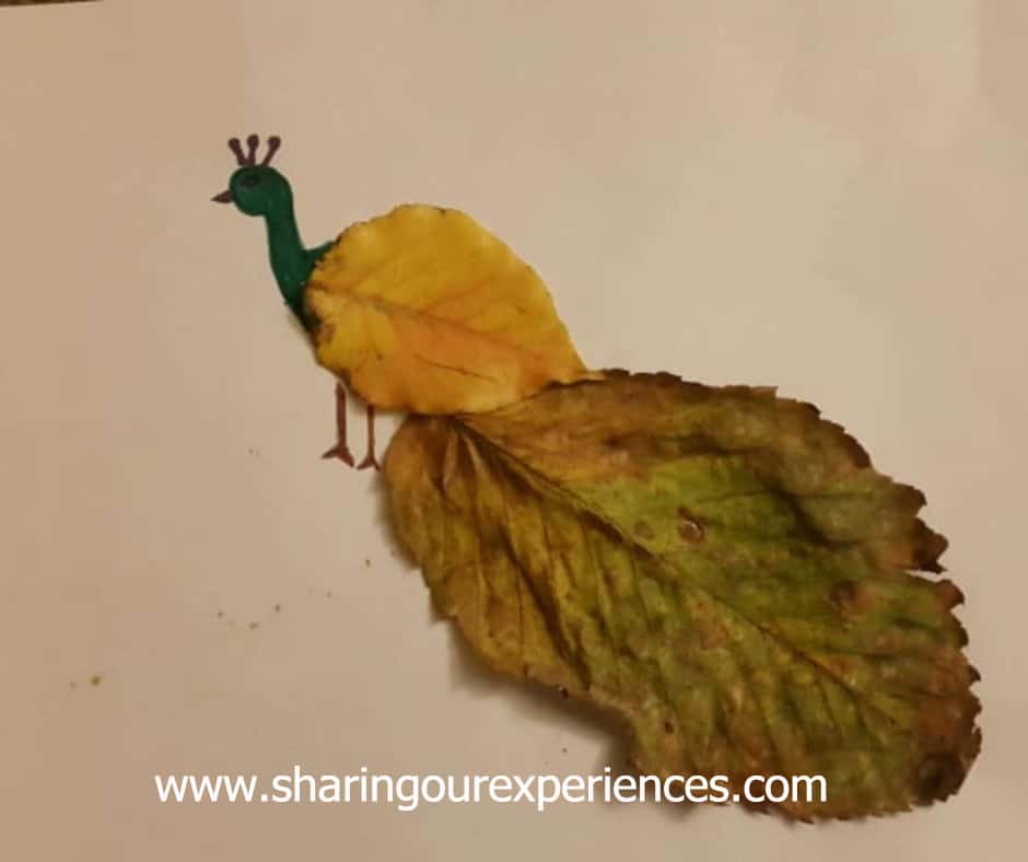 کاردستی طاووس با برگ های پاییزی