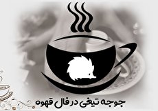 تعبیر و تفسیر جوجه تیغی در فال قهوه