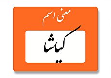معنی اسم کیاشا چیست؟ (ریشه، فراوانی و اسامی مشابه)