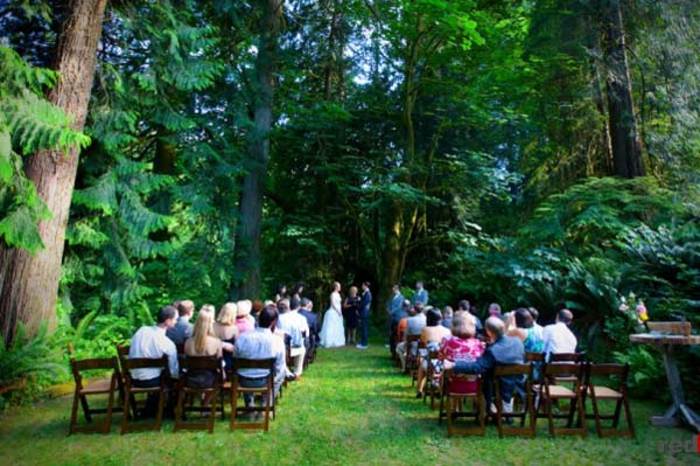 جشن عروسی در جنگل
